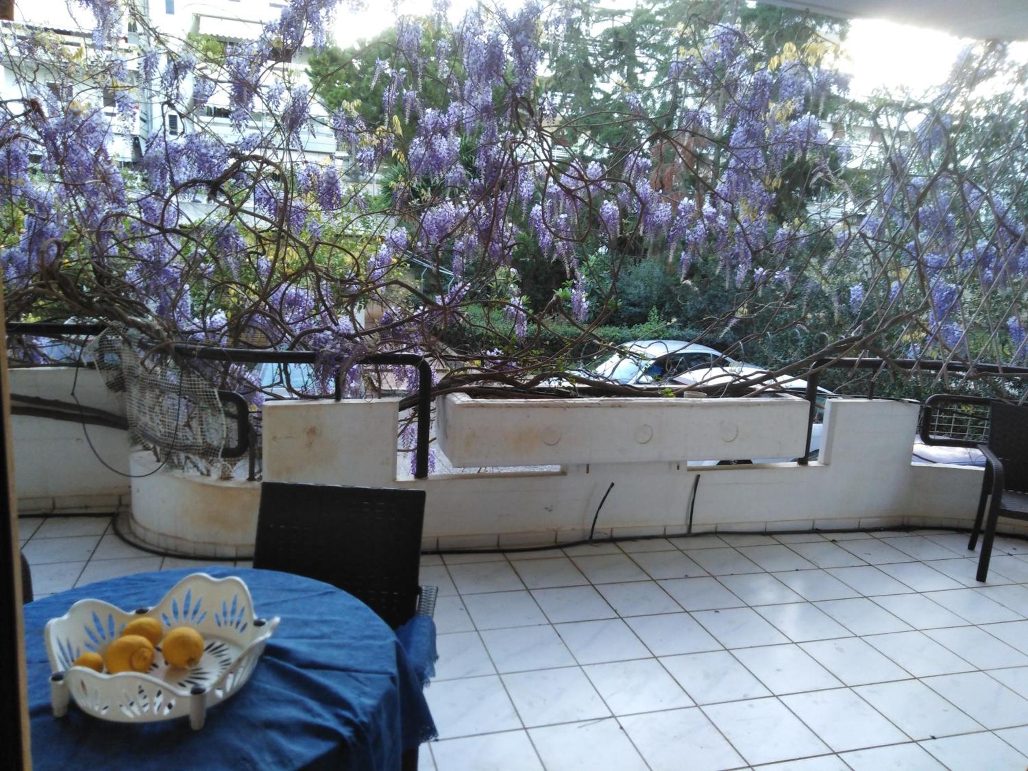 Filyra Homestay  Αθήνα Δωμάτιο φωτογραφία